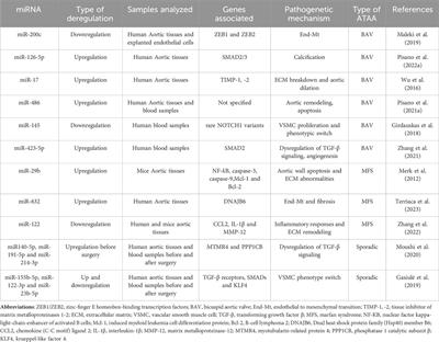 The key role of miRNA in syndromic and sporadic forms of ascending aortic aneurysms as biomarkers and targets of novel therapeutic strategies